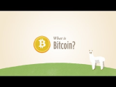 The Free Bitcoins .com- free btc, faucet btc, bitcoin faucet!