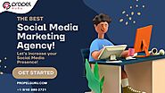 Social Media Strategy By The Best Social Media Marketing Agency