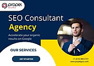Hire The SEO Consultant Experts To Grow Your Business
