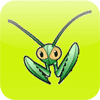 Mantis Bug Tracker Project Management Hosting Services