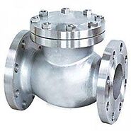 Superior Quality Check Valves Manufacturer, Supplier and Exporter in India - Dalmine Flanges