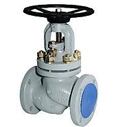Best Quality Piston Valves Manufacturer, Supplier and Exporter in India - Dalmine Flanges