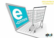 Ecommerce Websites Development Company In Delhi