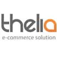 Thelia E-commerce Hosting Services