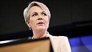 Tanya Plibersek delivers State of the Environment address following 'shocking' climate report — as it happened - ABC ...