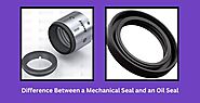 Difference between a Mechanical Seal and an Oil Seal? - Beston Seals