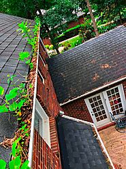 Gutters can be clogged quickly if not maintained in Greenville SC