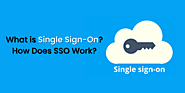 What is Single Sign-On? How Does SSO Work? - F60 Host Support