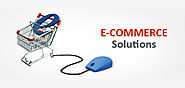 E-Commerce Web Application Development Solutions - Biztech Consultancy