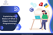 Explaining the Basics of What is Object-Oriented Programming?
