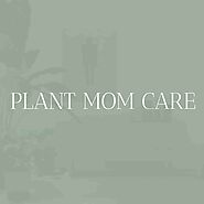 Plant Mom Care Houseplants Growing Guide