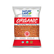 Buy Organic Ragi Whole Online (1kg) | Natureland Organics