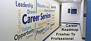 Career Road-Map: Fresher to Successful Business Professional