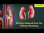 Effective Natural Cure For Kidney Cleansing