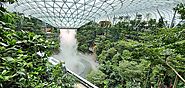 Admire the world's tallest indoor waterfall