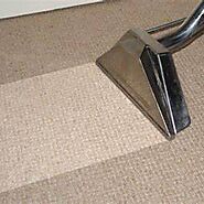 The Secret Tips for Keeping Your Carpet Clean and Looking Like New - AtoAllinks
