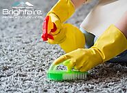 The Ultimate Guide to Choosing the Best Sunshine Coast Carpet Cleaning Services