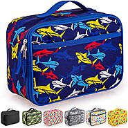 Zulay Insulated Lunch Bag [Sharks]