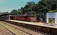 Take the train from Kandy to Ella!