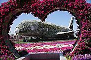 Visit the Dubai Miracle Garden