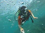 Diving or snorkelling in Tangalle
