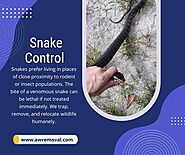Snake Control Near Me