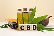 The Dangers Of Cheap And Unplanned SEO For CBD Business