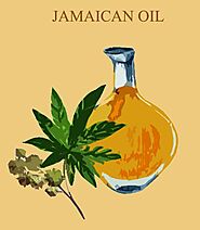 Jamaican Oil for Hair By Naturalmsp