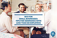 SEO for Small Businesses: Tips for Companies with Less Than 20 Employees - Local SEO Search Inc.