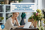 How to Grow Your Small Business with Digital Strategy - Local SEO Search Inc.