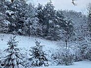 Here are The Odds of a White Christmas This Year in Pennsylvania - Gsnsp