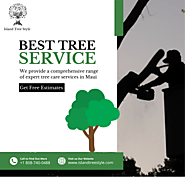 Best Tree Removal Service Provider in Maui | Island Tree Style