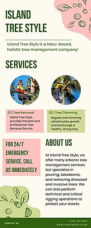 Tree Removal and Trimming Arborist Services by Island Tree Style