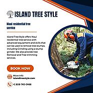 Hire a Certified Tree Removal Service at Maui | Island Tree Style