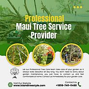 Emergency Maui Tree Service Provider In Hawaii- Island Tree Style
