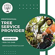 Professional Tree Service Provider in Maui - Island Tree Style