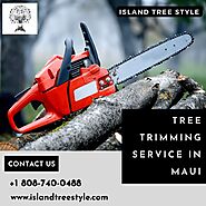 Tree Trimming Services in Maui - Island Tree Style