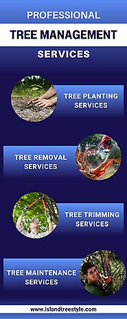 Tree Pruning Services in Maui | Island Tree Style
