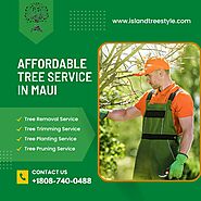 Affordable Tree Service In Maui - Island Tree Style