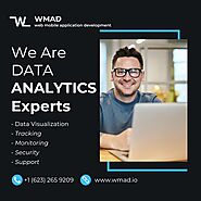 Analytics and Insights Services