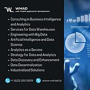 Analytics and Insights Services