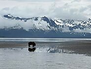 Bear Viewing Report – 12th June 2022 | Bear Viewing in Alaska