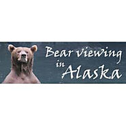 Bear Viewing in Alaska Profile on Midibiz.com