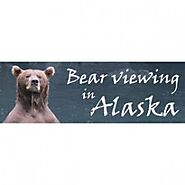 Bear Viewing in Alaska Profile on Citylocalpro.com