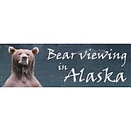 Bear Viewing in Alaska Profile on Greenbusinesses.com
