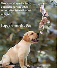 Friendship Day MSG To Share With Friends