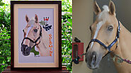 Custom Horse Photo Embroidery Digitizing