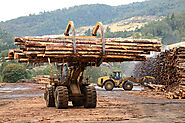 Commercial Timber Loans - BUSINESS FUNDING Approved for bad credit, Call us at 307-202-8534 or text 310-492-3704