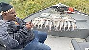 Alaska Fishing Report - 12th August 2022 - Alaskan Gamefisher