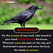Astrology Tips About Crow